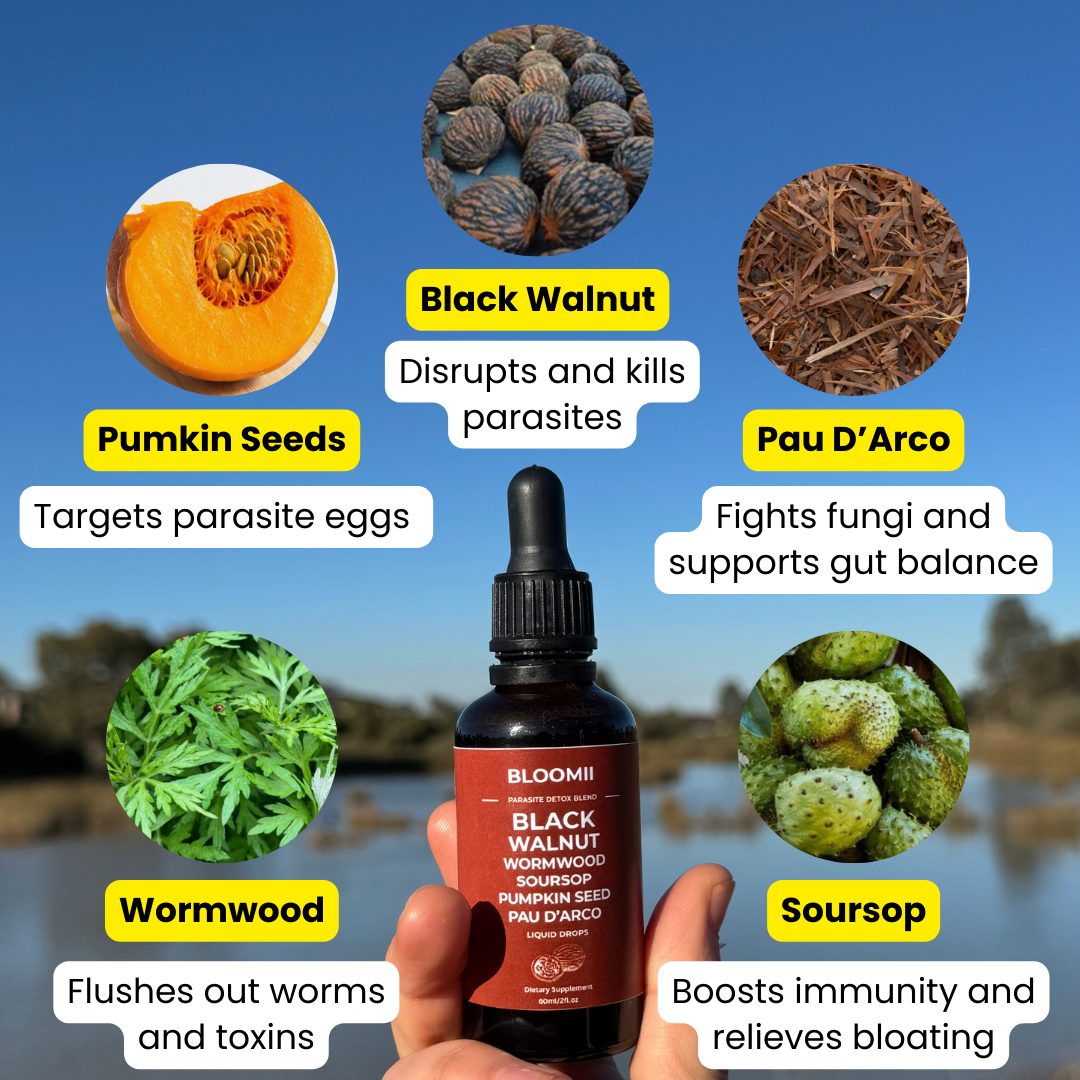 Wormwood Parasite Cleanser