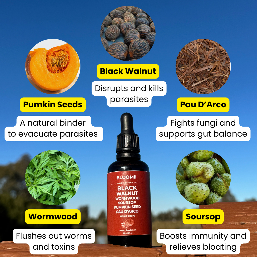 Black Walnut Wormwood Parasite Cleanse